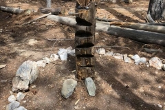 MtLemmonSummerCamp (14)