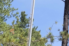 SummerCamp (31)