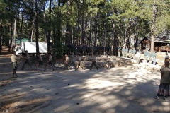 SummerCamp (50)