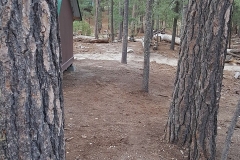 SummerCamp (59)