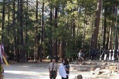 SummerCamp (72)