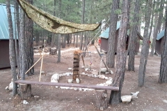SummerCamp (75)