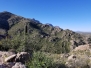 Catalina State Park