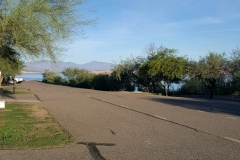 Roosevelt1